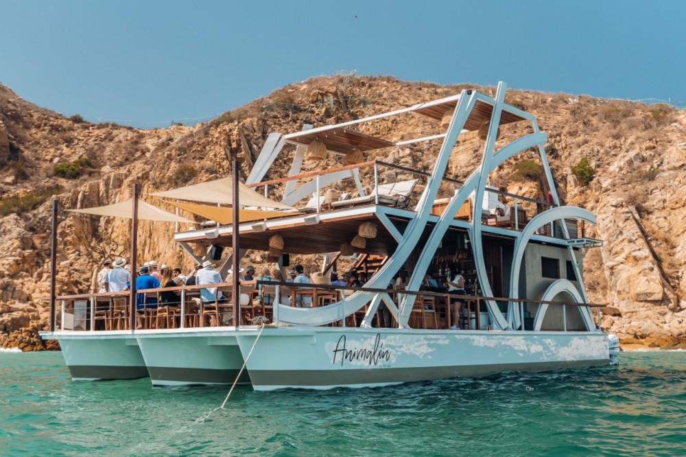49' Deck profile